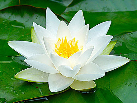 沈陽(yáng)匯福祥精密機(jī)械股份有限公司